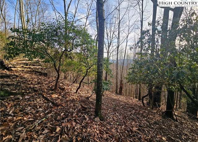Property at Lot 111 Sunset View Dr, Grassy Creek, NC 28631