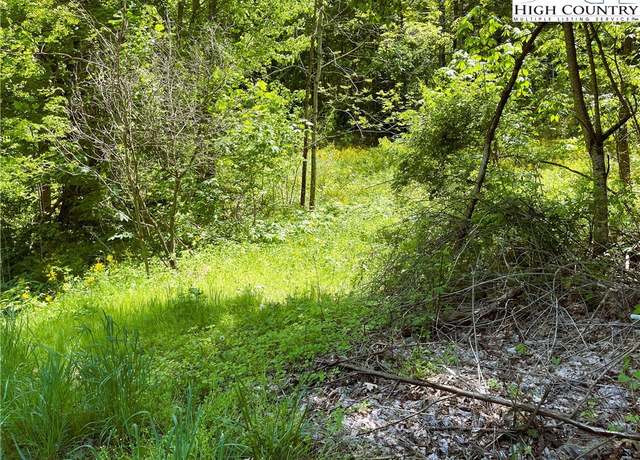 Property at TBD Hwy-321, Sugar Grove, NC 28622