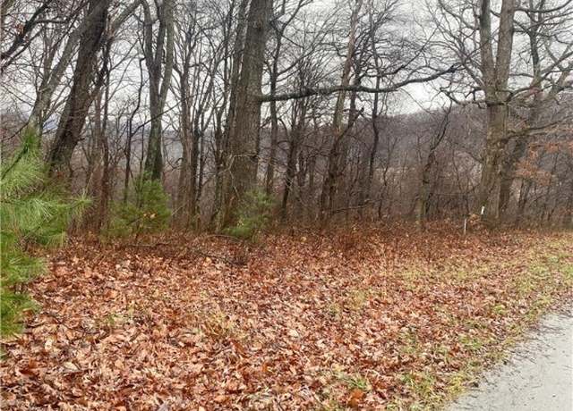 Property at Lot #7 Tom's Knob, Sparta, NC 28675