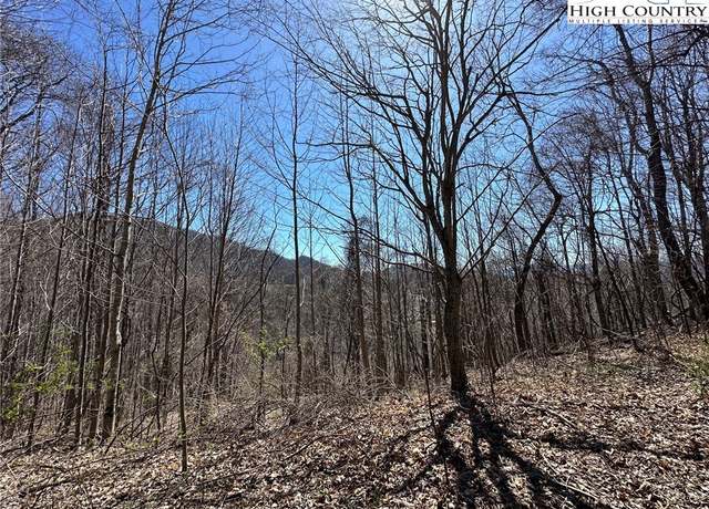 Property at Lot 10 & Reserved Lot Yasmine Ln, Vilas, NC 28692