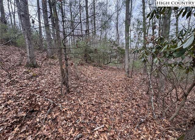 Property at TBD Long Leaf Dr, West Jefferson, NC 28640