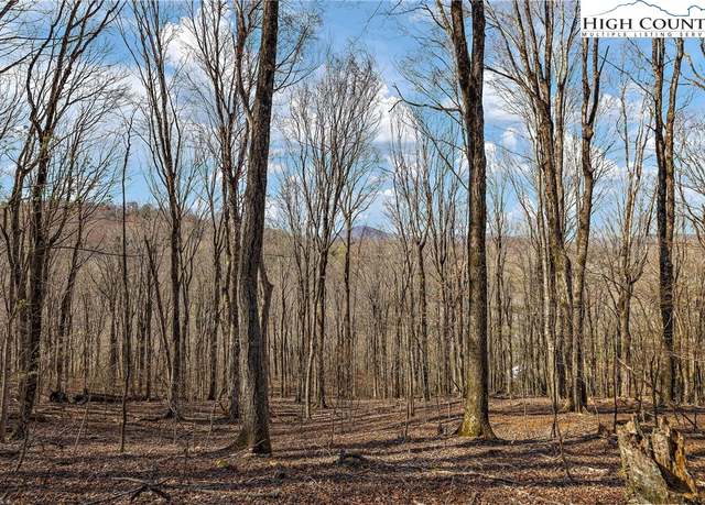 Property at TBD Cobbs Creek Rd, Boone, NC 28607