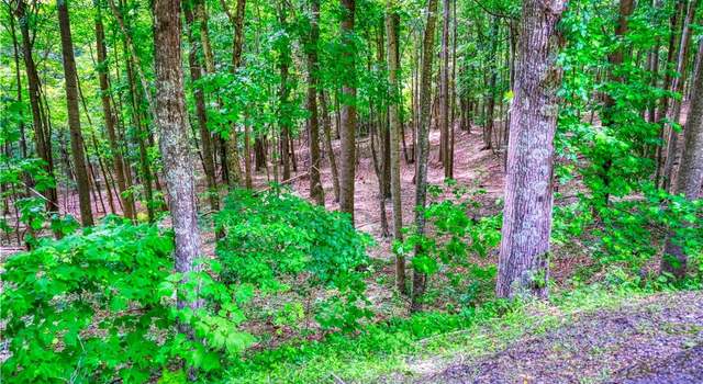 Photo of Lot 19 Quail Ridge Dr, Fleetwood, NC 28626