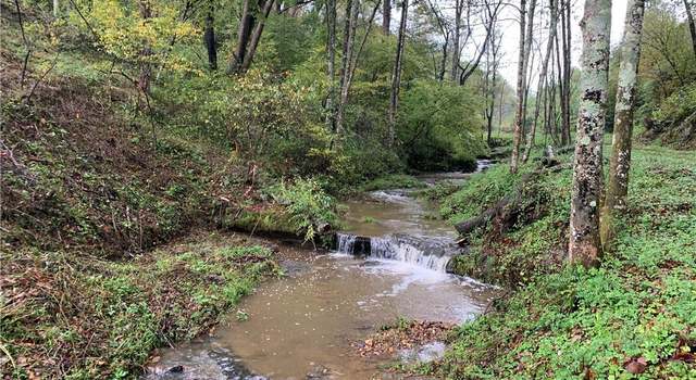 Photo of TBD Albert Phipps Rd, Crumpler, NC 28617