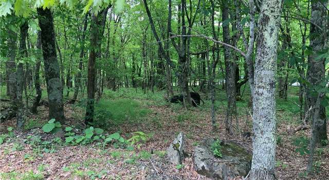 Photo of TBD Pinnacle Dr, West Jefferson, NC 28694