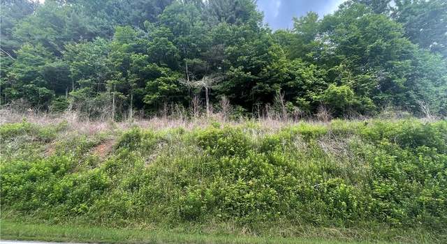 Photo of 0 Buckeye Hollow Rd, Newland, NC 28657