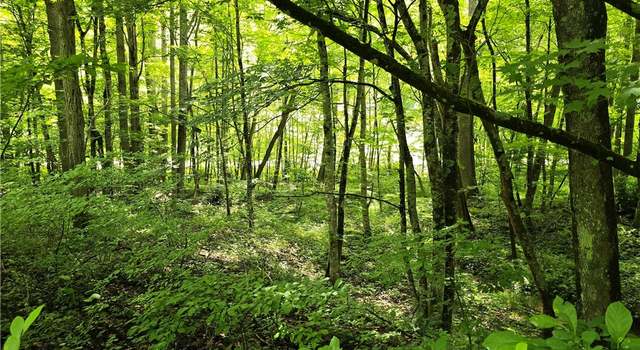 Photo of 3455 W Mill Creek Rd, Warrensville, NC 28693
