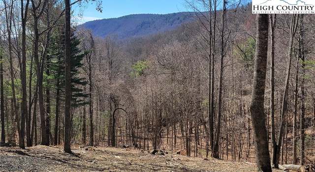 Photo of Lot 2 Phillips Gap Rd, Purlear, NC 28665
