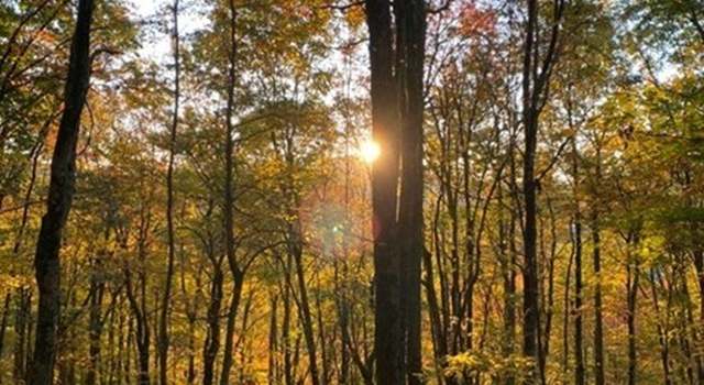 Photo of TBD Burnt School House Rd, Creston, NC 28615