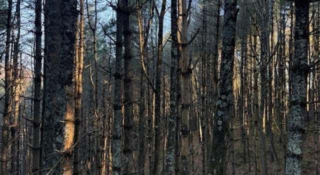 Photo of Lot 18 Mary K St, Fleetwood, NC 28626