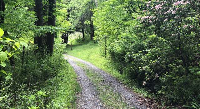 Photo of 00 Chinquapin Ridge Rd, Scottville, NC 28672