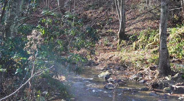 Photo of 175 Dallas Watson Rd, Deep Gap, NC 28618