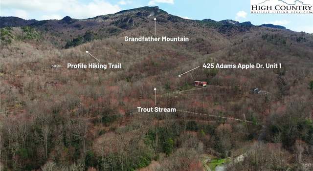 Photo of 425 Adams Apple Dr #1, Banner Elk, NC 28604