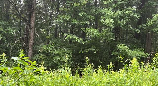Photo of Lot 39 Nikanor Rd, West Jefferson, NC 28694
