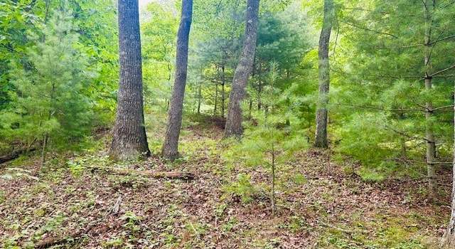 Photo of Lot 9 Clearview Ridge Rd, Crumpler, NC 28617