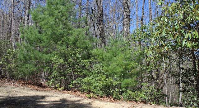 Photo of TBD Trout Lake Rd, Deep Gap, NC 28618