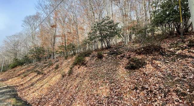 Photo of 110 Cherry Gap Rd, Beech Mountain, NC 28604