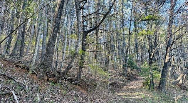 Photo of TBD Bald Mountain Rd, West Jefferson, NC 28694