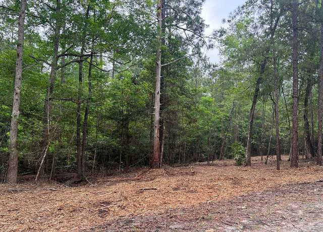 Property at id34087 Deergrass Dr, Brookeland, TX 75931