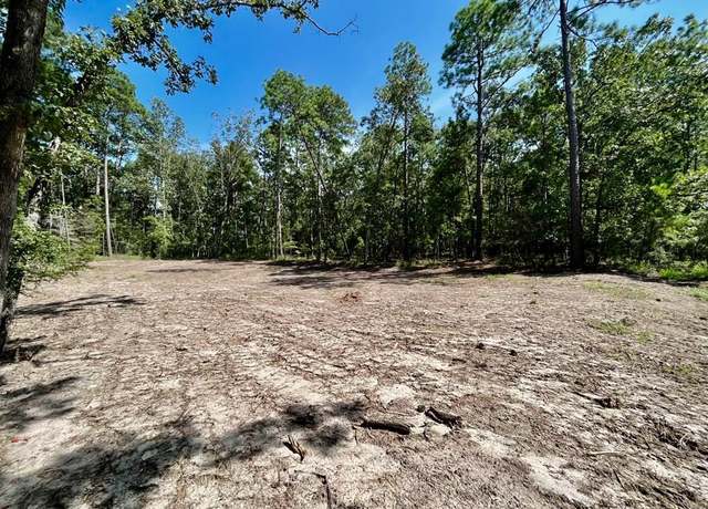 Property at 418 Twigwood Dr, Brookeland, TX 75931