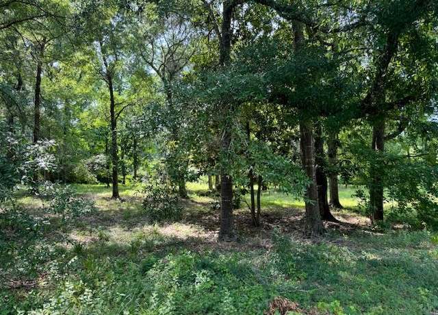 Property at Lot 2 Hunterwood Dr, Jasper, TX 75951