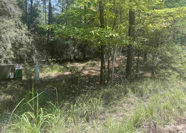 Property at 34301 Senita Dr, Brookeland, TX 75931