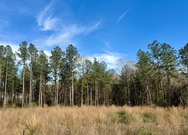 Property at R000066321 Dorsey Rd, Hemphill, TX 75948