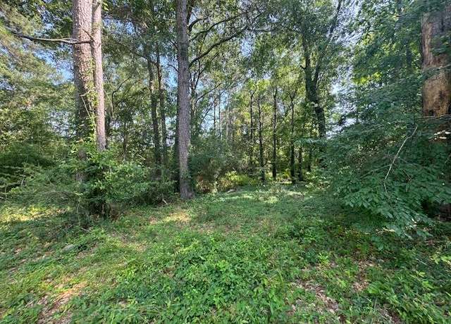 Property at Lot 41 Quail Rdg, Jasper, TX 75951
