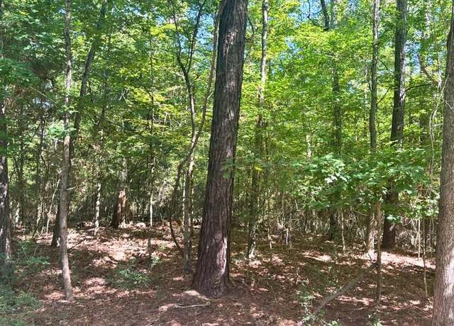 Property at Lot 1 &2 Pine St, Broaddus, TX 75929