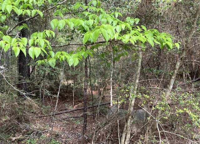 Property at 422 Oakdale Dr, Brookeland, TX 75931