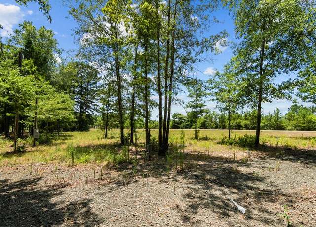 Property at 0 Henry Dr, Hemphill, TX 75948