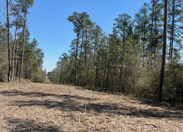 Property at 39-D Hwy 83, Broaddus, TX 75929