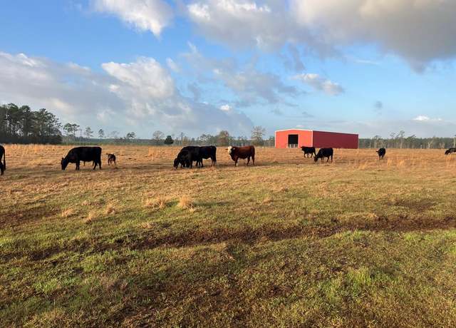 Property at 0 Cr 1450, Warren, TX 76653