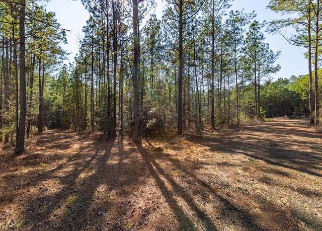 Property at R28371 County Road 411, San Augustine, TX 75972
