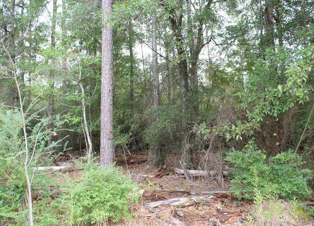 Property at 10675 County Road 317, Kirbyville, TX 75956