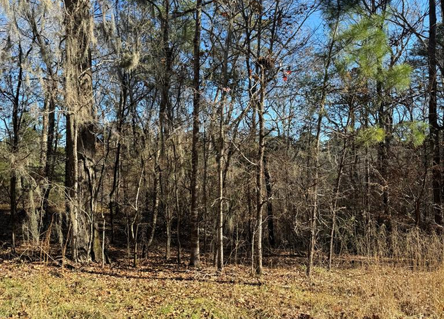 Property at 28411 County Road 374, Broaddus, TX 75929