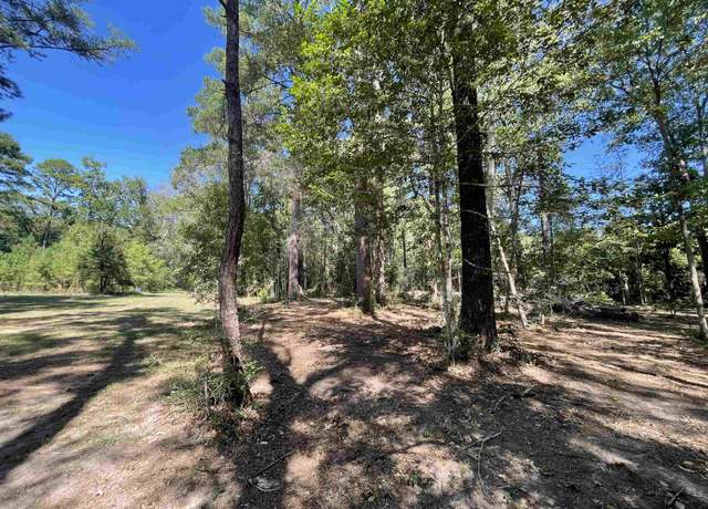 Property at 580 Dogwood Loop, Jasper, TX 75951