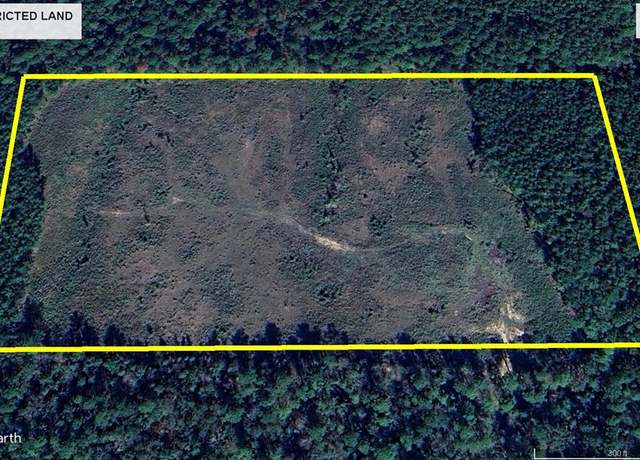 Property at ID 27753 Fs 107b Tx, Shelbyville, TX 75973