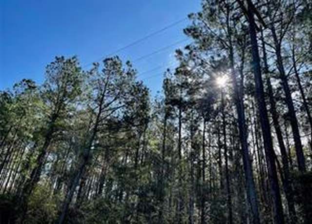 Property at 6+/- County Road 3400, Colmesneil, TX 75938
