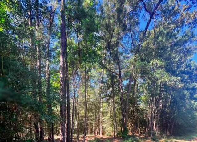 Property at 34976 Victoria, Brookeland, TX 75931