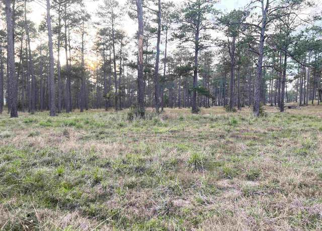 Property at 087 Pr 6026, Brookeland, TX 75931