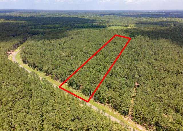 Property at Lot 30 Eagles Nest, Broaddus, TX 75929
