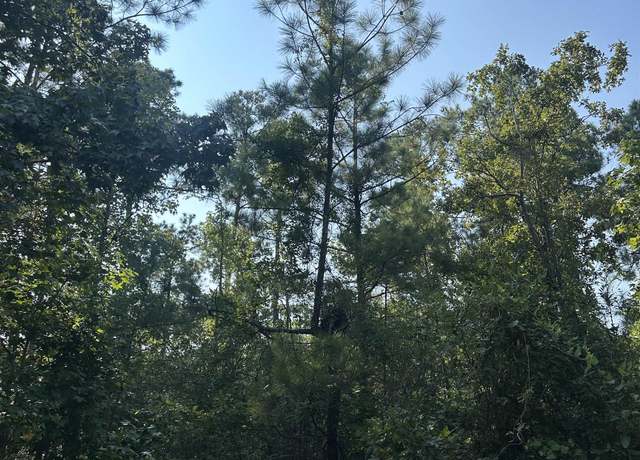Property at 310 Tobacco Rd, Brookeland, TX 75931