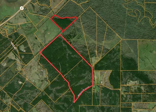 Property at Parcel ID 30383 Fenley Flat Rd, Pollok, TX 75969