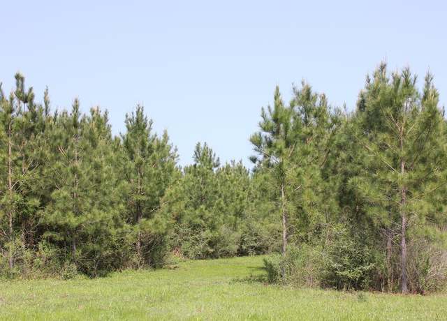 Property at 795 Cc Rd, Diboll, TX 75941