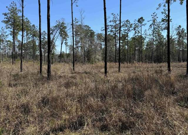 Property at 084 Pr 6026, Brookeland, TX 75931