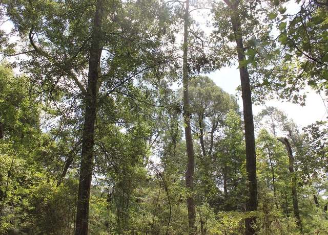 Property at PID 11666 Barnum Loop, Corrigan, TX 75939