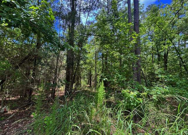 Property at 34794 Tapioca Ln, Brookeland, TX 75931