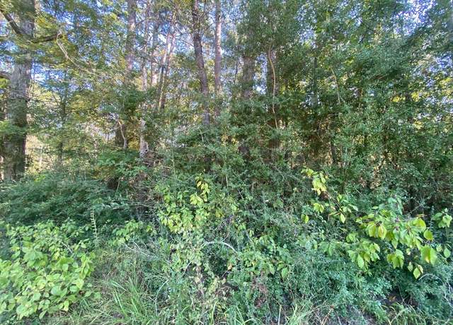 Property at R47770 Pinestraw, Huntington, TX 75949