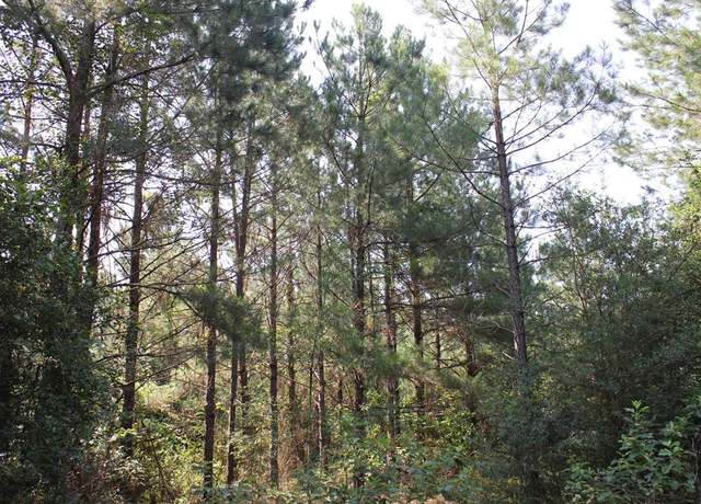 Property at PID 36982 Ben Dunn Rd, Lufkin, TX 75901